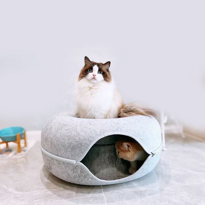 口碑评价花杠猫花杠猫 猫隧道猫窝质量怎么样？我的感受曝光分享