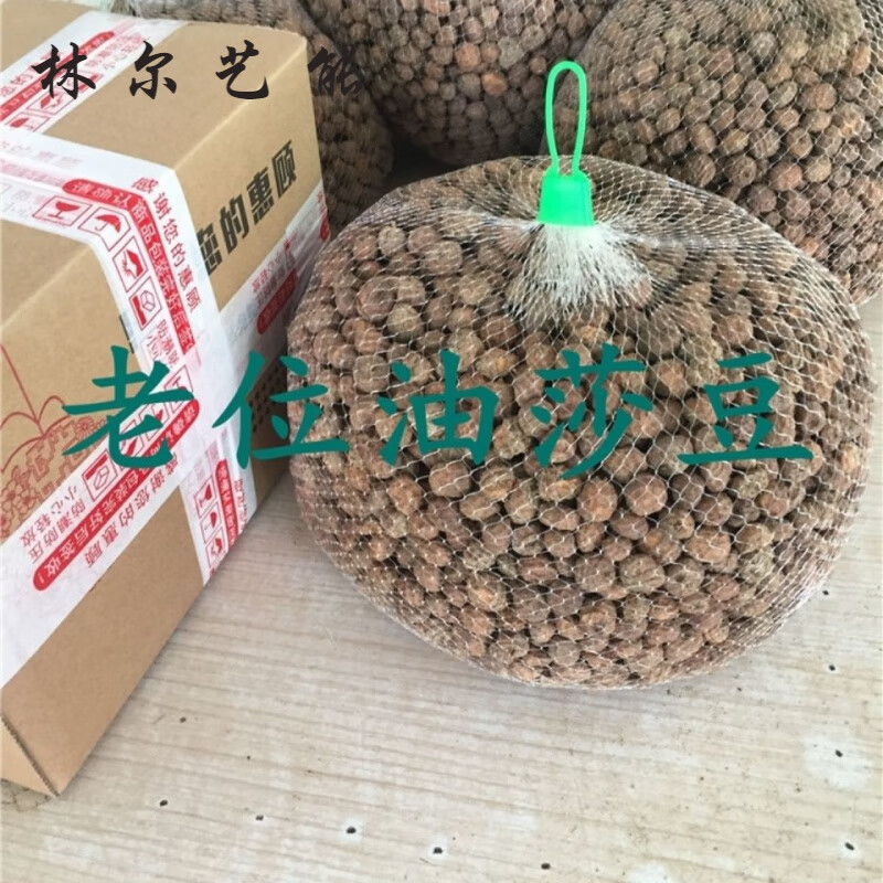 新油莎豆 一斤油沙豆 坚果 tiger nuts地下核桃 圆粒