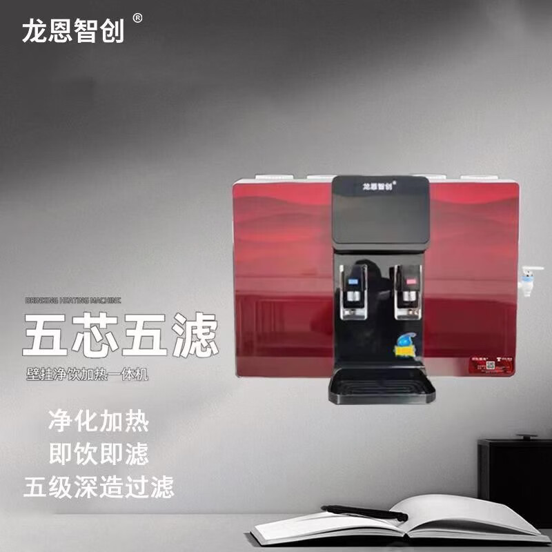 龙恩智创 速热直饮 净水器 hl-ro100a