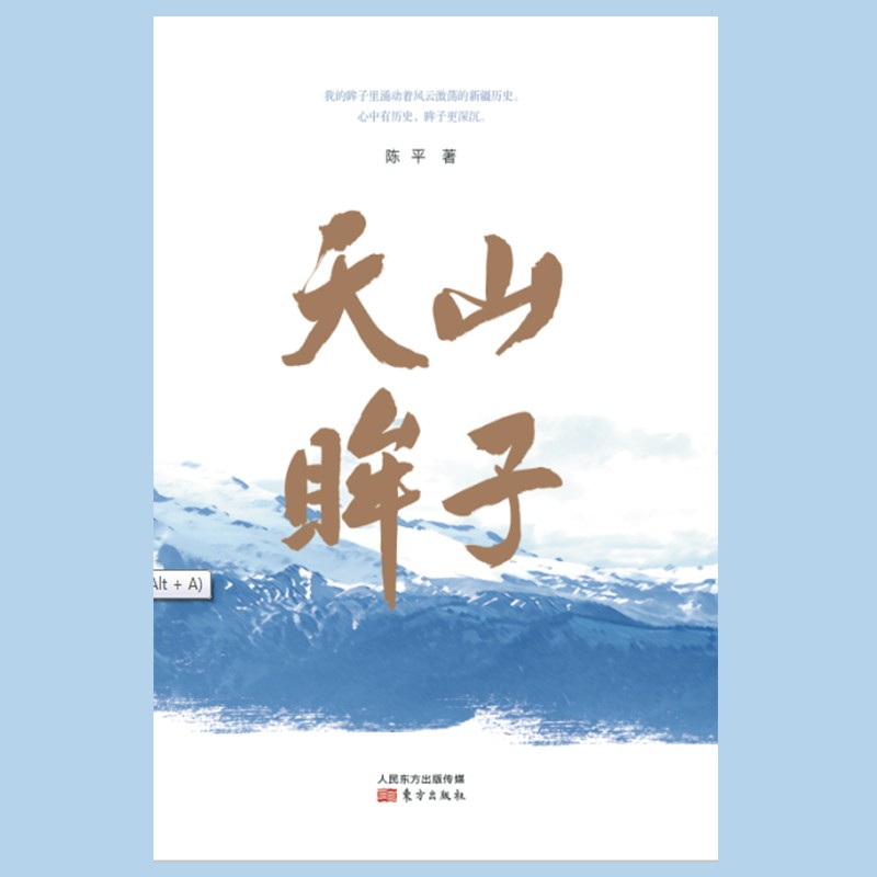 [正版图书]天山眸子