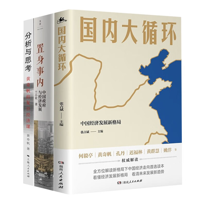 中国经济【三册】 置身事内 分析与思考 