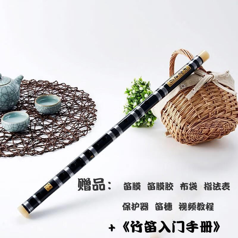 長(zhǎng)笛樂(lè)器初學(xué)者笛子初學(xué)成人零基礎(chǔ)橫笛黑色學(xué)生苦竹笛白紫色兒 F調(diào) 黑色++學(xué)習(xí)資料