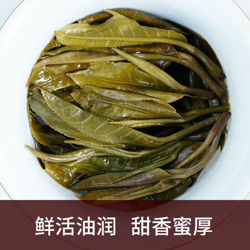 勐海千羽茶叶 春茶预售 357g/饼 七星千羽孔雀叶 生茶勐海600年古树茶