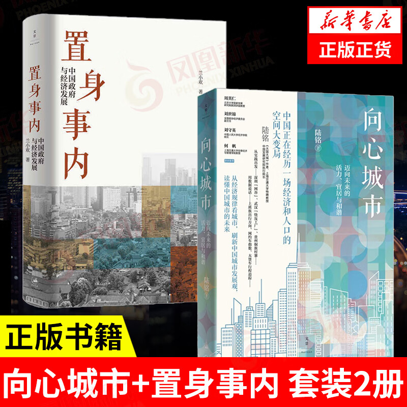 【套装2册】向心城市 陆铭著+置身事内 