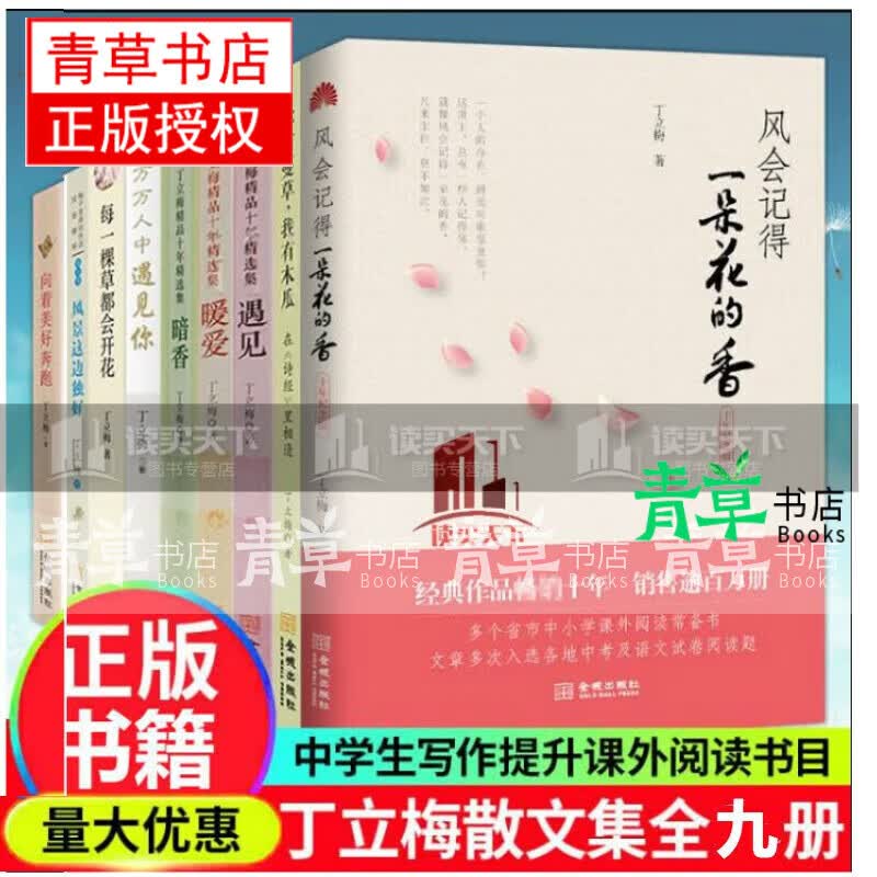 包邮丁立梅的书散文作品集全套9册暗香 暖爱 遇见 风会记得一朵花香