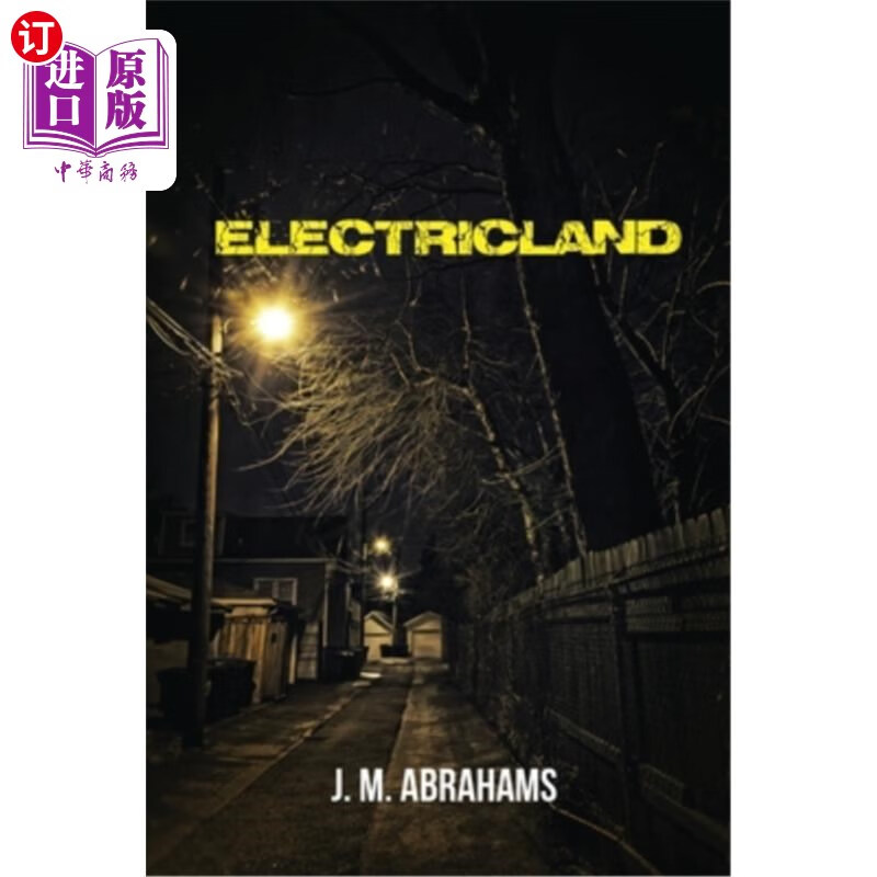 海外直订electricland 电场