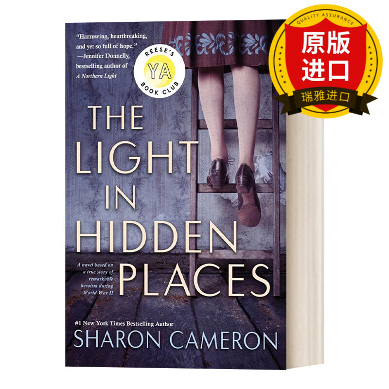 the light in hidden places 隐蔽处的光芒 瑞雅进口原版