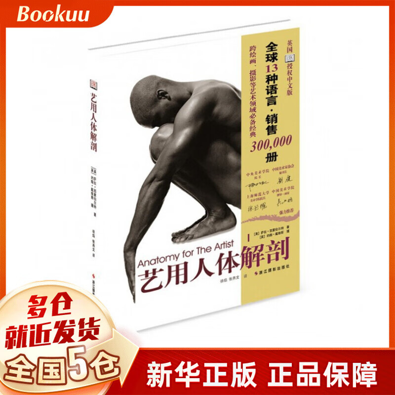 艺用人体解剖