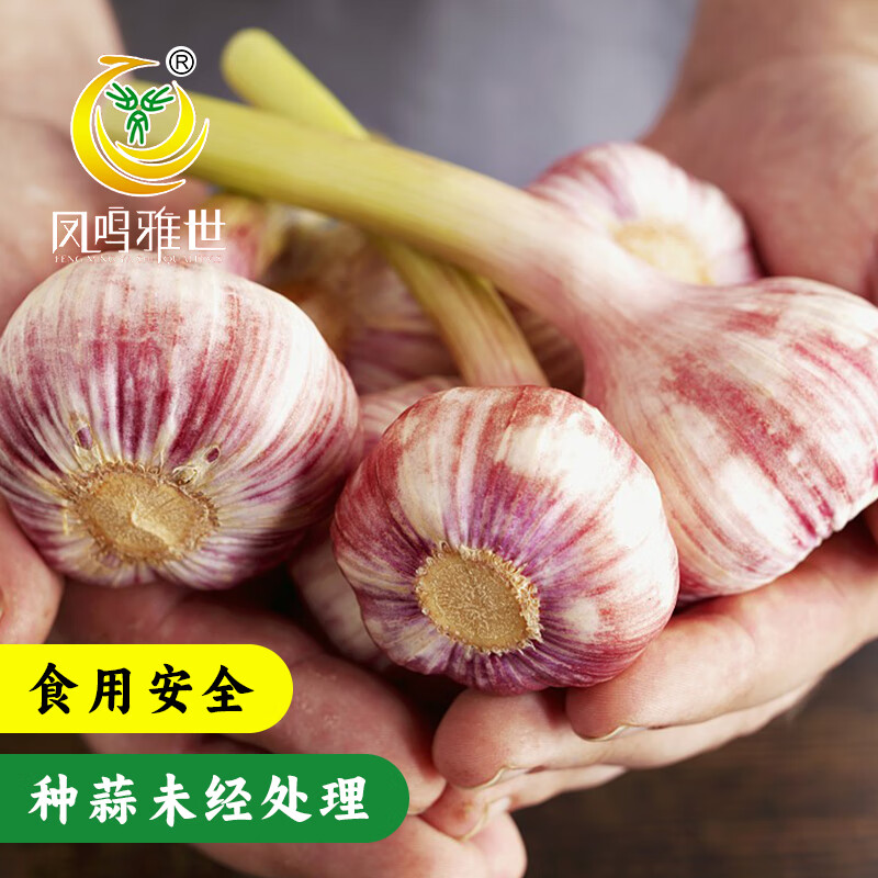 可以看蔬菜种子种苗价格波动的App|蔬菜种子种苗价格比较