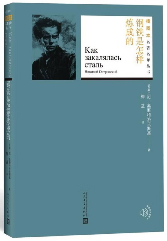 钢铁是怎样炼成的/插图本名著名译丛书