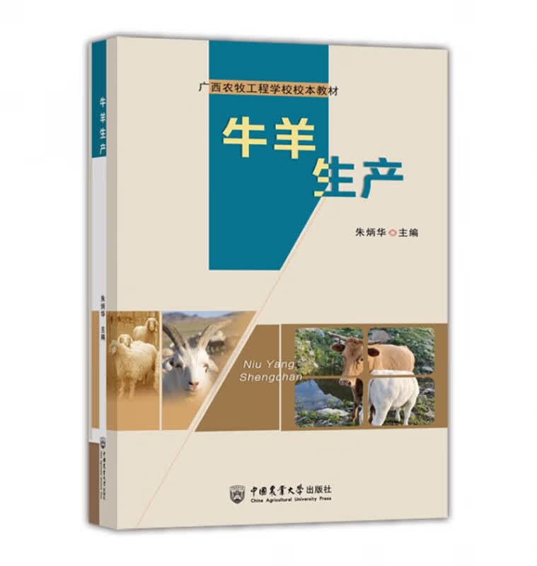 牛羊生产