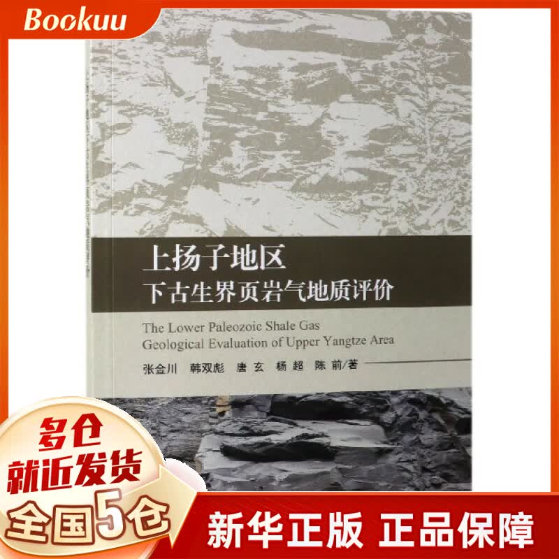 上扬子地区下古生界页岩气地质评价