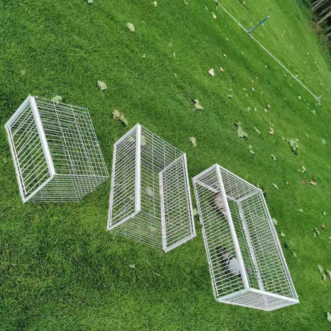 捕捉神器鸟类鸟儿自动批发撞门工具户外室外鸽笼 40*30*26一无天窗