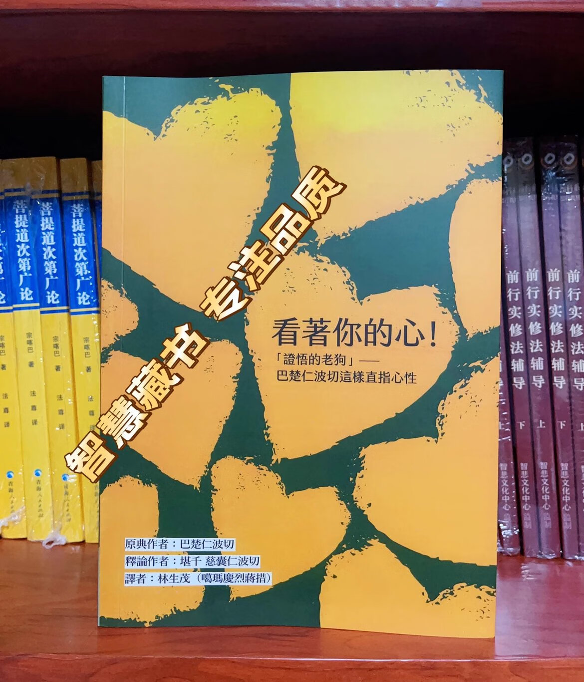 《看着你的心》巴楚仁波切