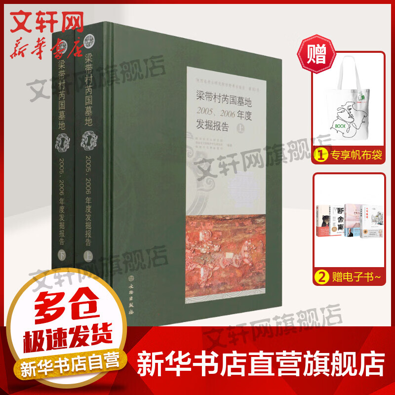 梁带村芮国墓地 2005、2006年度发掘报告(全2册) 图书