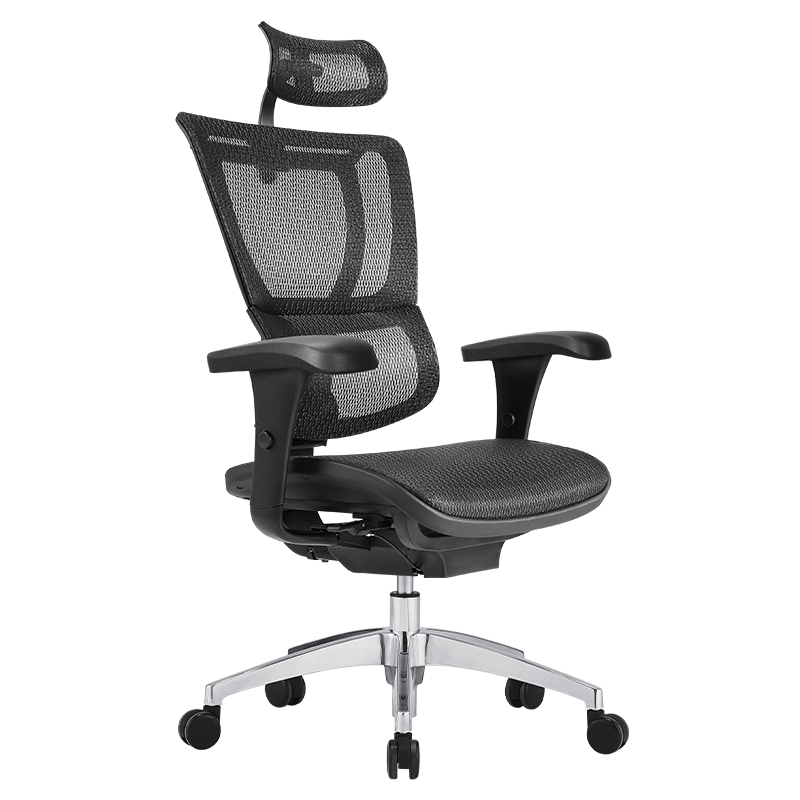 plus会员,需抢券:ergonor保友办公家具 优b 人体工学电脑椅 黑色 美国