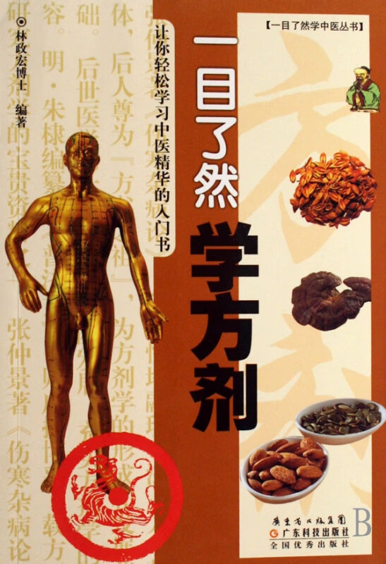 一目了然学方剂/一目了然学中医丛书