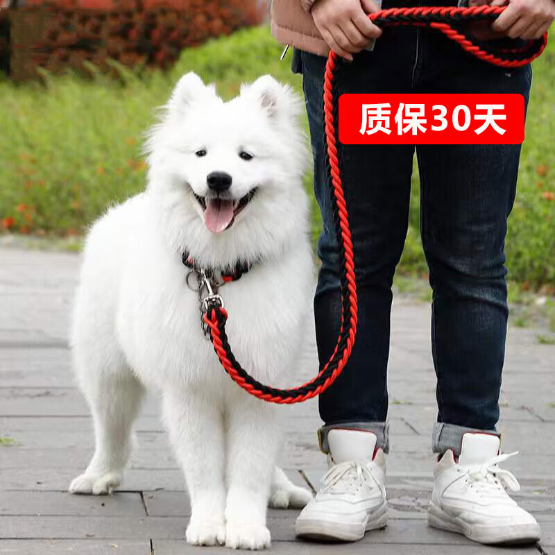 查牵引绳胸背带价格历史|牵引绳胸背带价格走势图