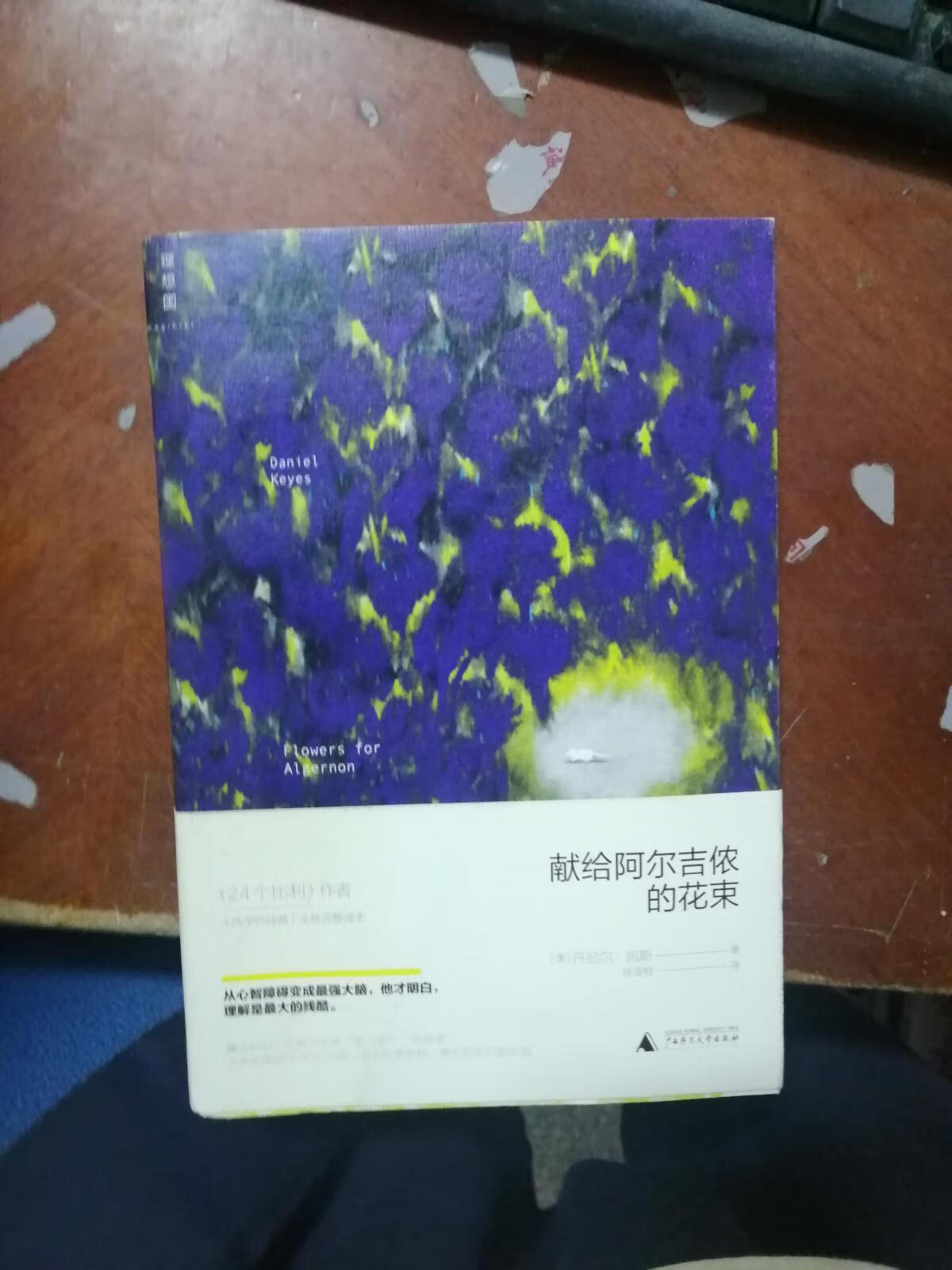 献给阿尔吉侬的花束9787549565115