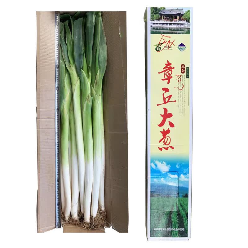 鲁禧山东章丘特产大葱礼盒 脆甜微辣 去半叶 新鲜蔬菜 一级大葱礼盒 带盒5斤|葱白50cm+属于什么档次？