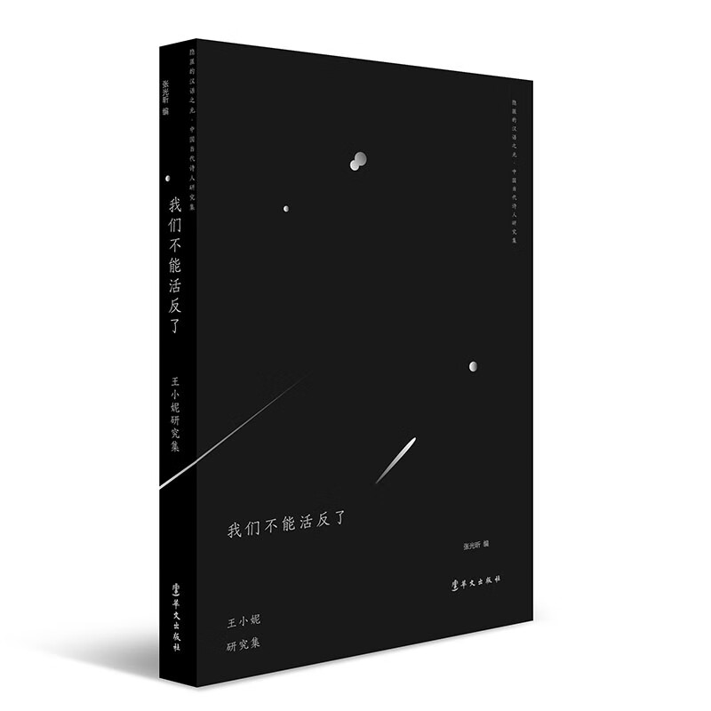 我们不能活反了·王小妮研究集(隐匿的汉语之光·中国当代诗人研究集)