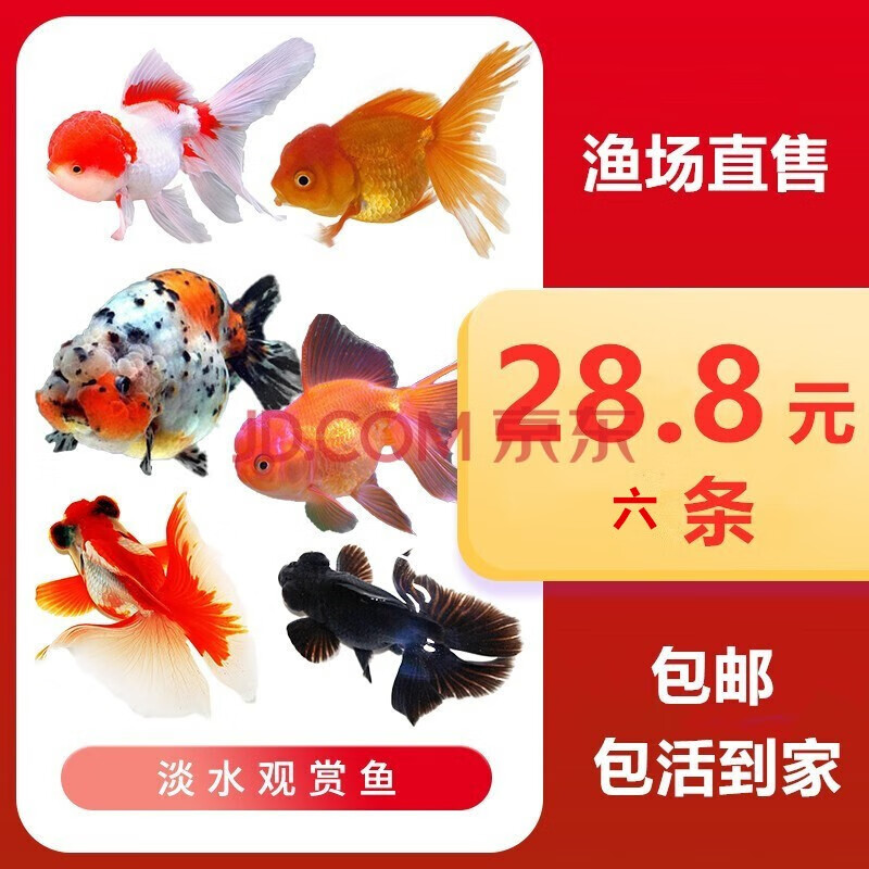 景呈宠物用品专营店 店铺报价图片优惠券 京东景呈宠物用品专营店优惠商品大全 虎窝购