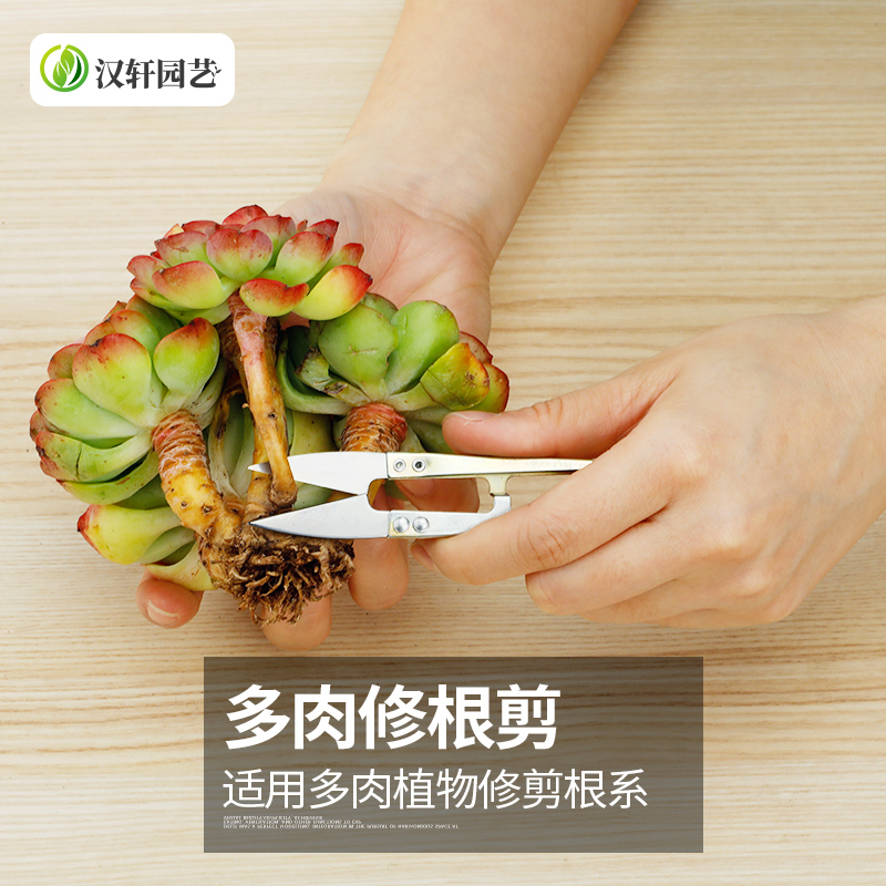 汉轩 多肉修根剪扦插修根造型剪子园艺花卉绿植修枝修叶小型u型剪刀