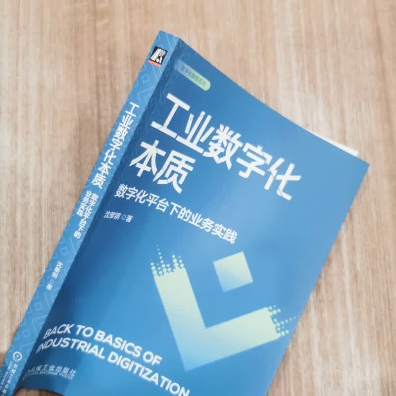 工业数字化本质：数字化平台下的业务实践详情图