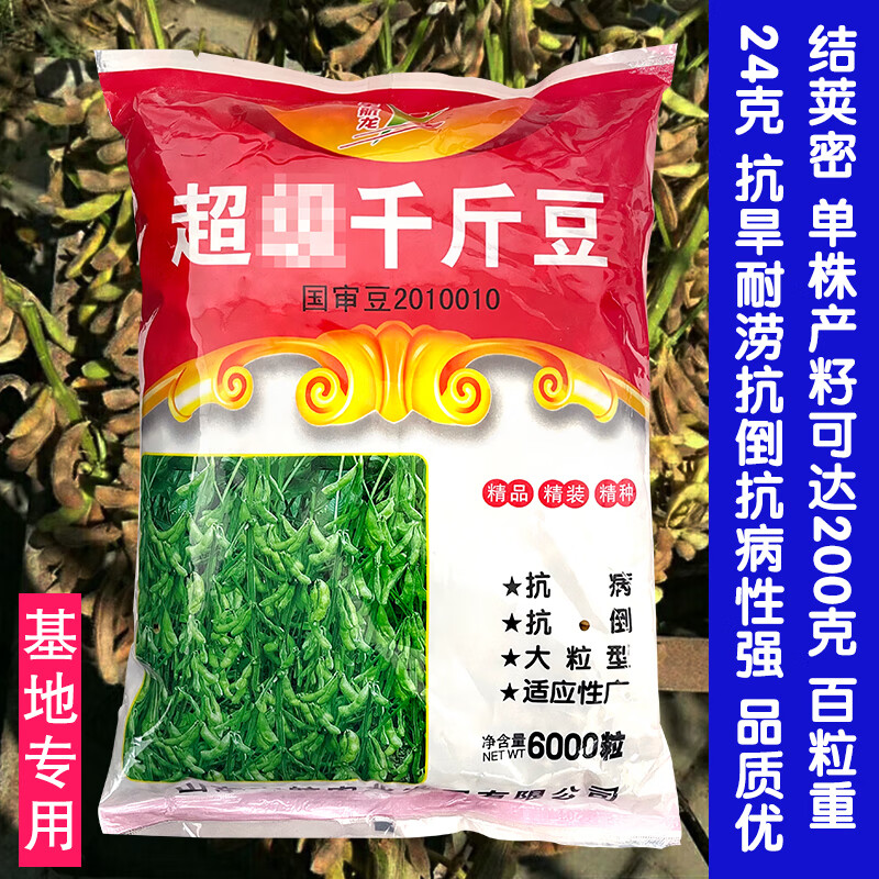 千斤豆黄豆种子春季大豆种夏季播大田基地均可种植大豆种粮食种子
