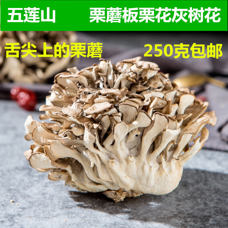 山东五莲特产栗蘑栗花灰树花舞茸菌板栗树下蘑菇菌干货250克