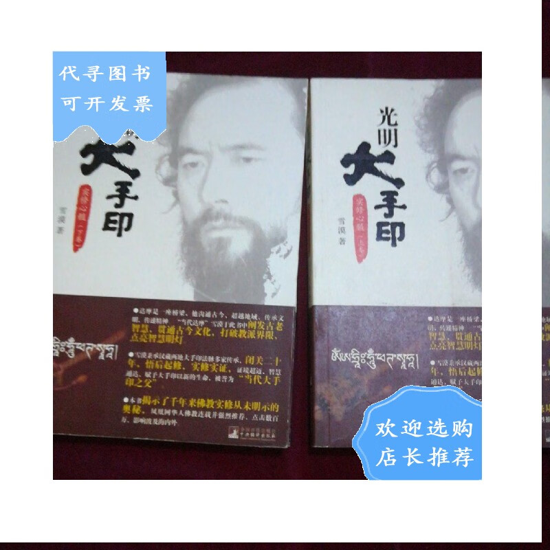 光明大手印:实修心髓(全二卷)