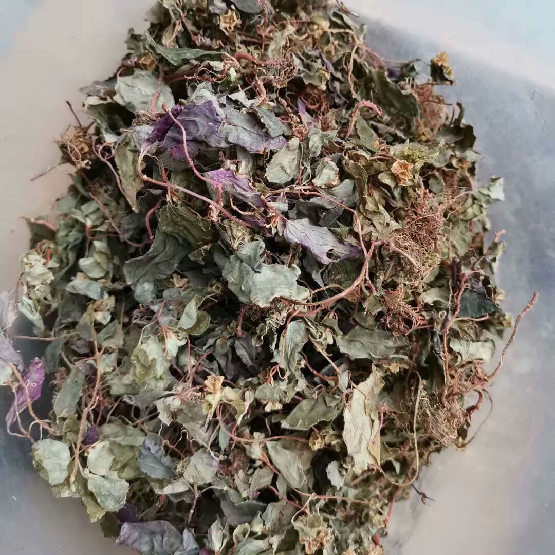 北京同仁堂新鲜风柜斗草 风鼓草 肉穗草 风鼓斗草 风谷草干货中药材