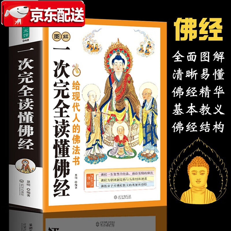 图解一次性完全读懂佛经 给现代人的佛法书佛经佛家经典书籍 佛学入门地藏经金刚经六祖坛经大方广佛华严经