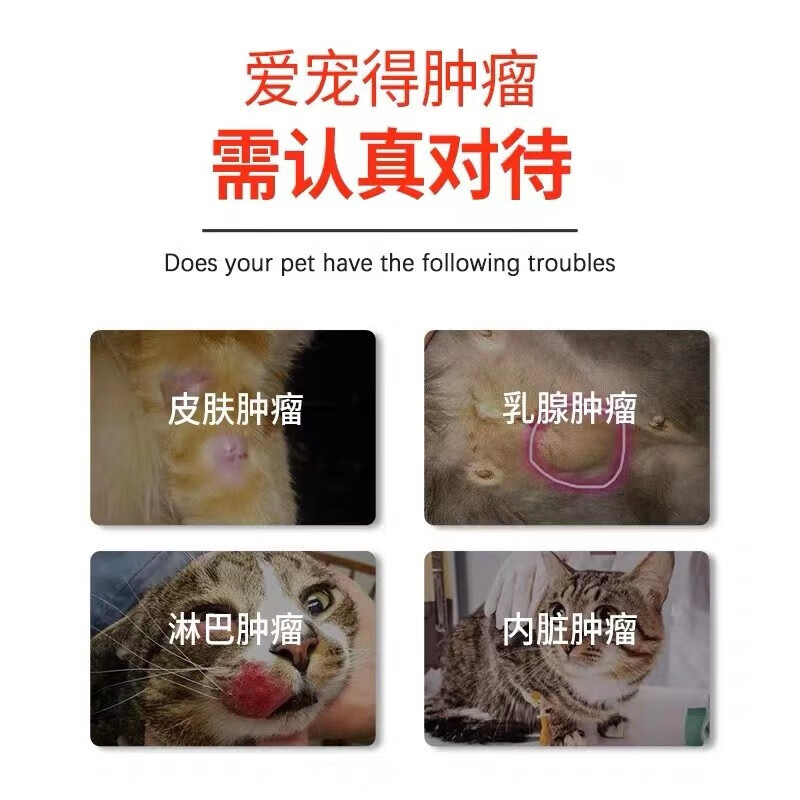 【顺丰空运/次日达】艾肿平球球猫狗乳腺瘤菜花瘤乳腺增生肛周瘤癌肿平化瘤宠物肿瘤药克瘤康泰癌肿平 24片/盒+喂药器【联系客服改价】