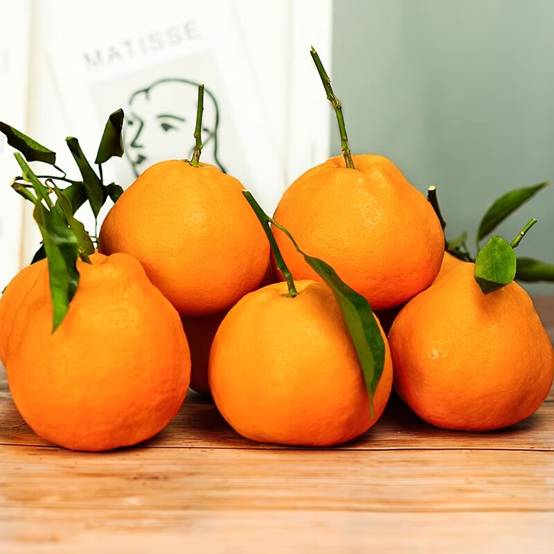 鲜宝道四川不知火丑橘新鲜水果整箱 5斤中果70mm-75mm净重4.5斤