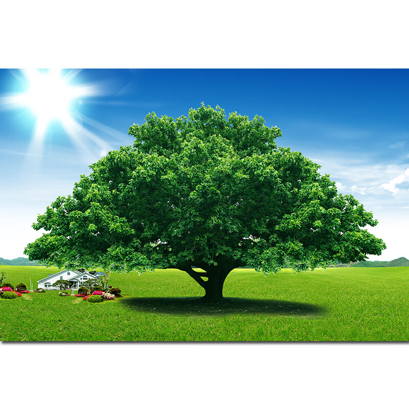 七丌亓阳光照射叁天大树绿色装饰画一颗树壁画客厅自然风景画聚财自粘
