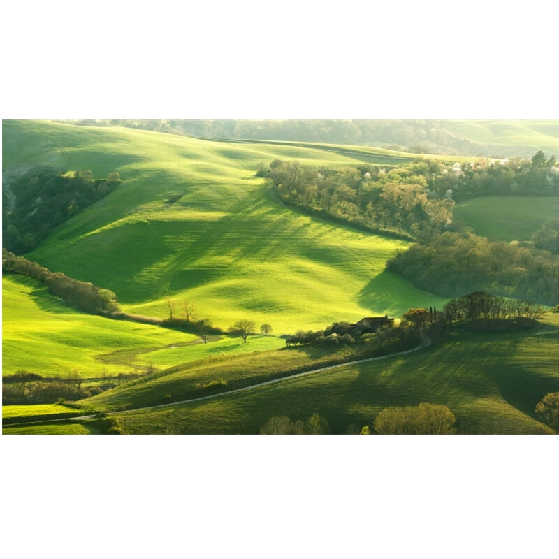 梵雅曼墙纸自粘风景画草原海报雪山峰森林树林贴画自然风光装饰墙贴壁画 F237 横版图 高60X宽90厘米