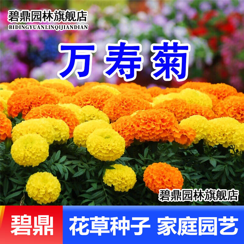 手机京东怎么看花草林木类历史价格走势|花草林木类价格比较