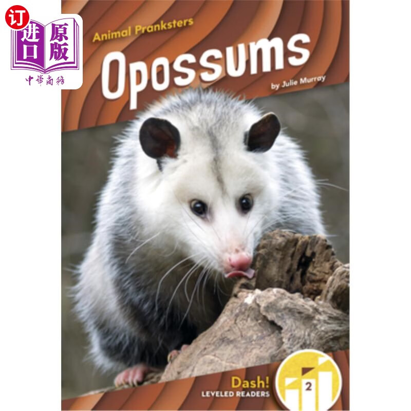海外直订opossums 负鼠