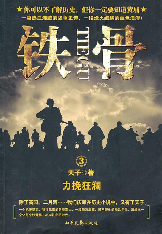 铁骨 3:力挽狂澜