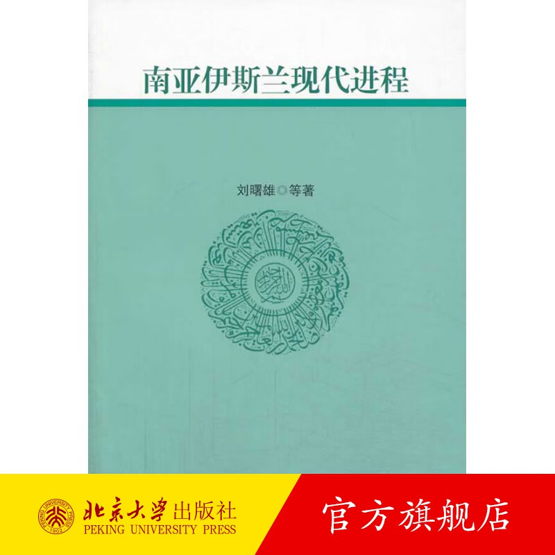 南亚伊斯兰现代进程 北京大学旗舰店正版