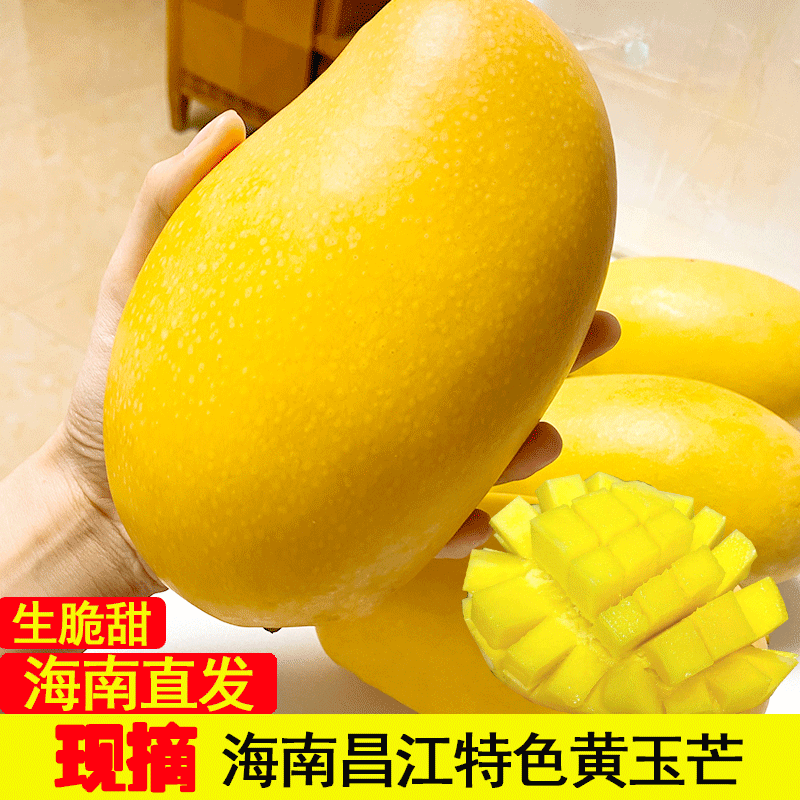 【京选优品】海南昌江特产水果当季新鲜特大黄玉芒果10斤礼盒装生吃酸
