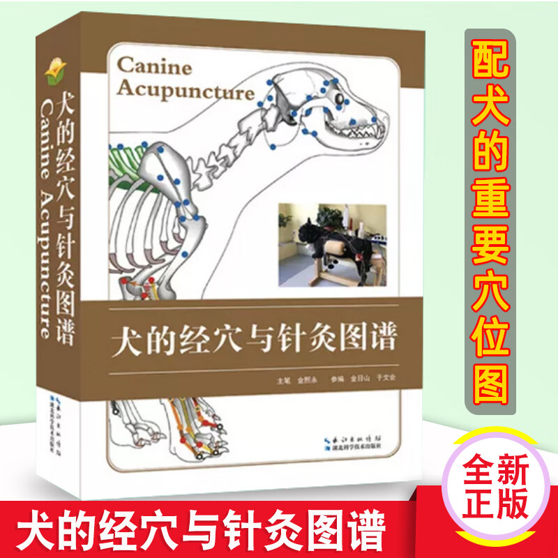 犬的经穴与针灸图谱犬针灸图谱犬穴位图宠物