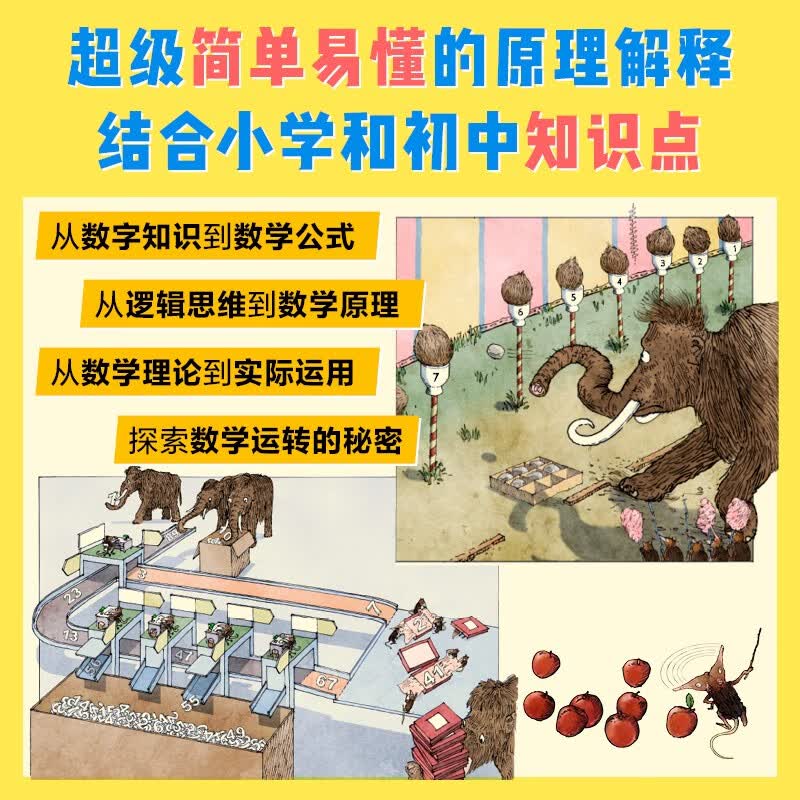 DK数学运转的秘密详情图