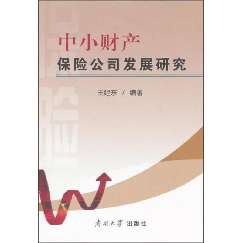 中小财产保险公司发展研究