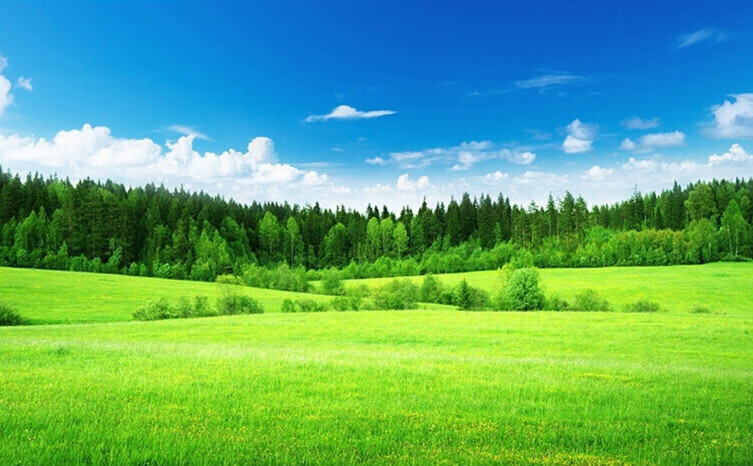 梵雅曼墙纸自粘 墙上桌面装饰贴画风景墙壁画贴纸自粘大自然墙贴整张 YJ-12-青青草原 宽200厘米 高150厘米 京东折扣/优惠券