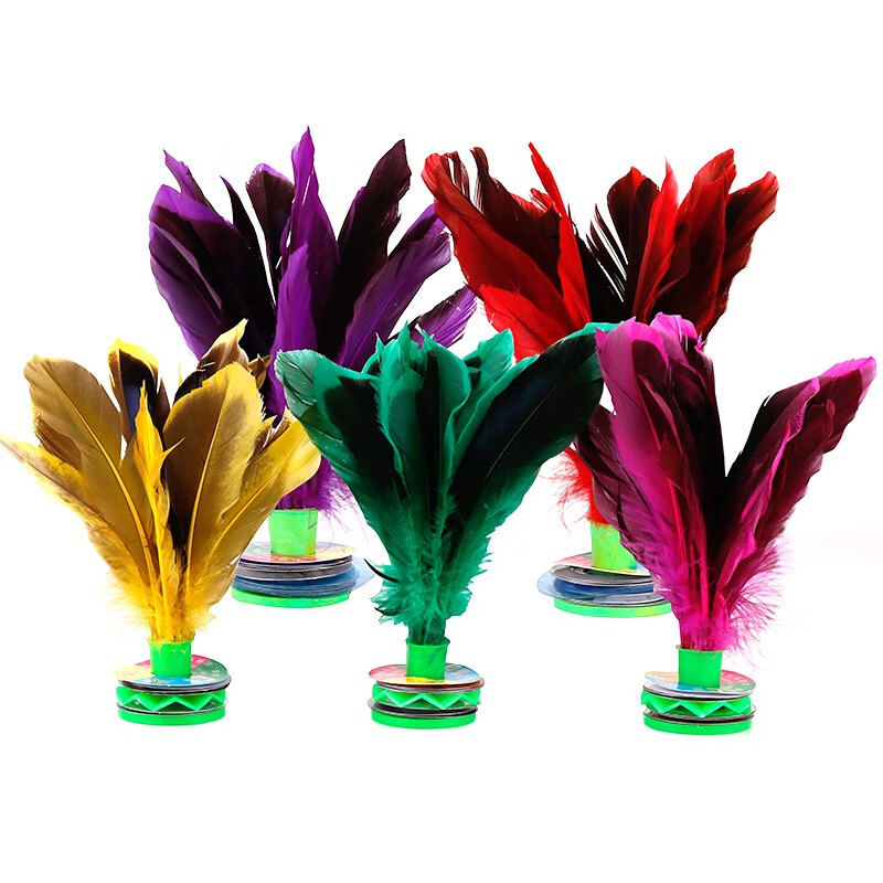 紫湖鸭毛毽子小学生儿童毽球大号彩色羽毛毽子耐踢牛筋底5只装 鸭毛