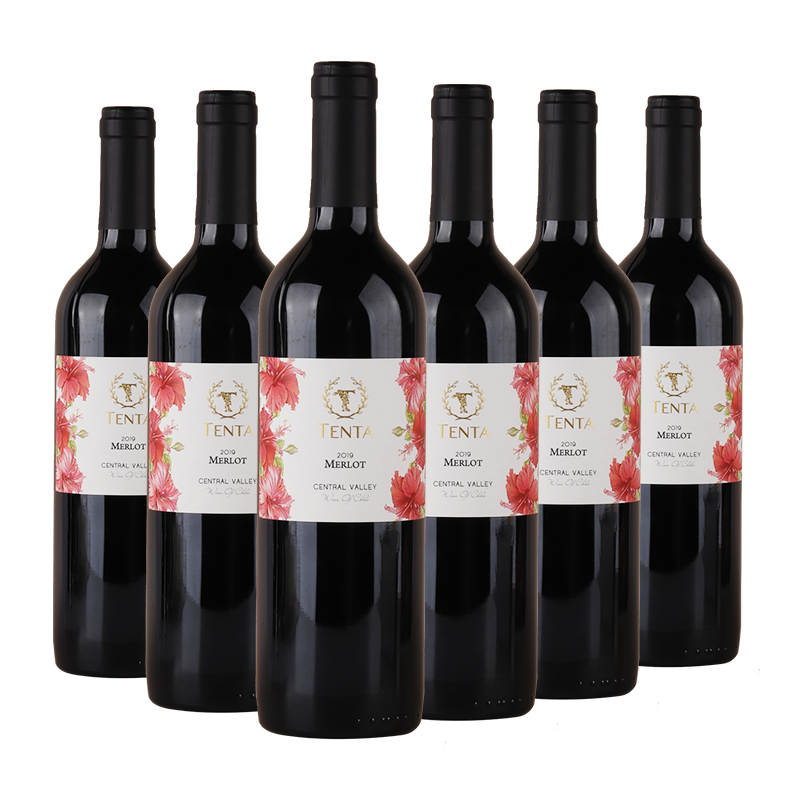智利产区天帕梅洛红葡萄酒750ml*6支 198元