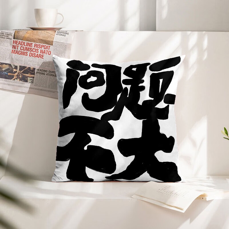 趣味抱枕客厅沙发靠枕办公室座椅腰枕靠垫午睡趴枕可定制 问题不大