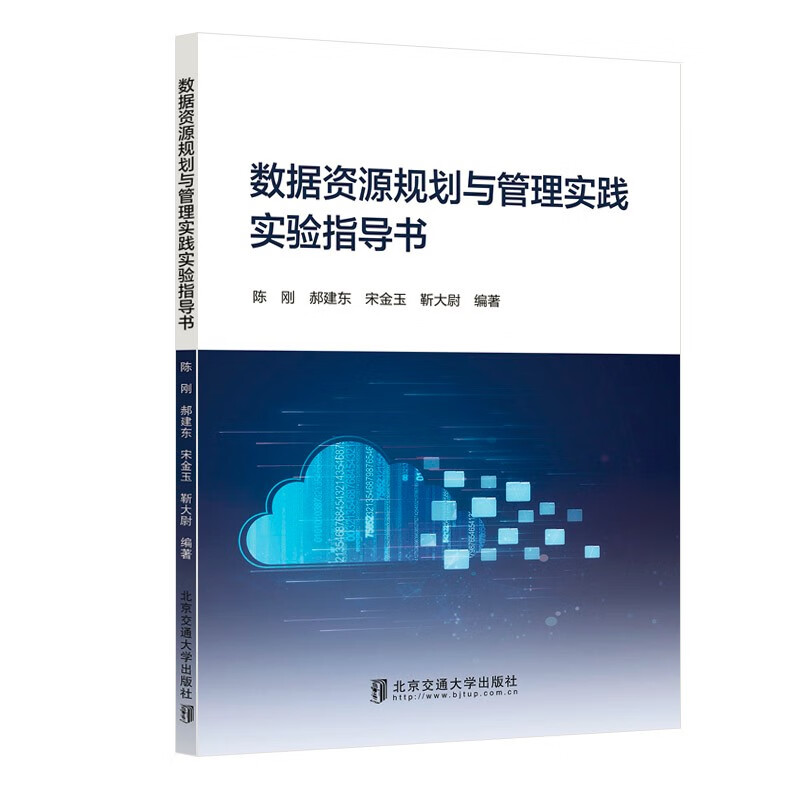 数据资源规划与管理实践实验指导书详情图